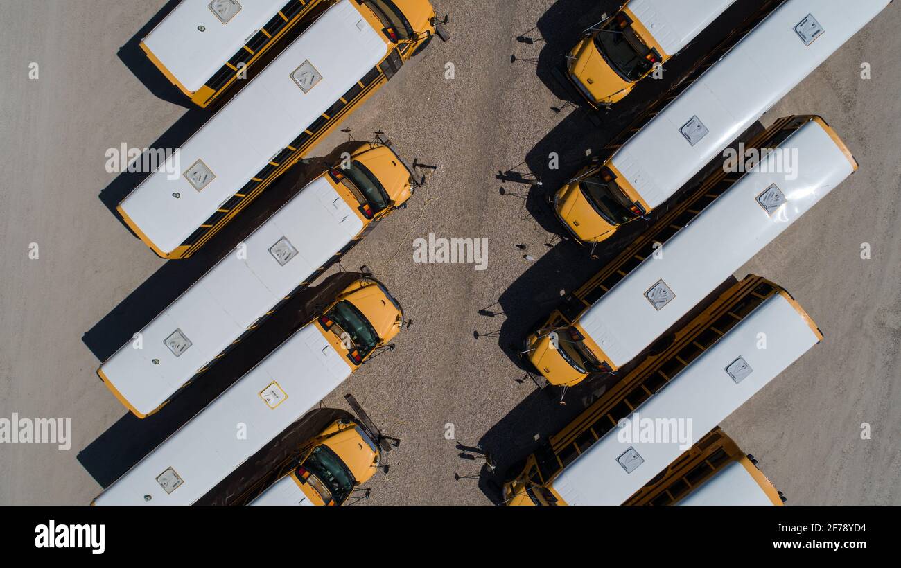 vue sur une rangée de bus scolaires Banque D'Images