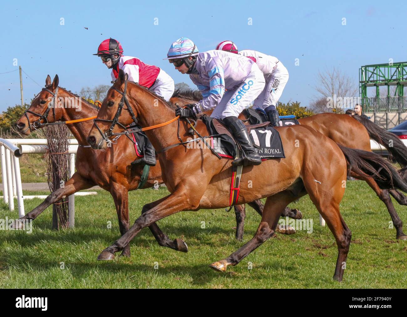 Courses hippiques au Royaume-Uni et en Irlande. Down Royal Racecourse, Lisburn, Irlande du Nord. 17 mars 2021, Réunion nationale de chasse de la Saint-Patrick. Bluegrasshorsefeed.com Maiden course de haies, tenue derrière des portes fermées. Cheval de course Hoganville (17), monté par Sean O'Keeffe, formé par Paul Nolan et détenu par Tony Richardson. Banque D'Images