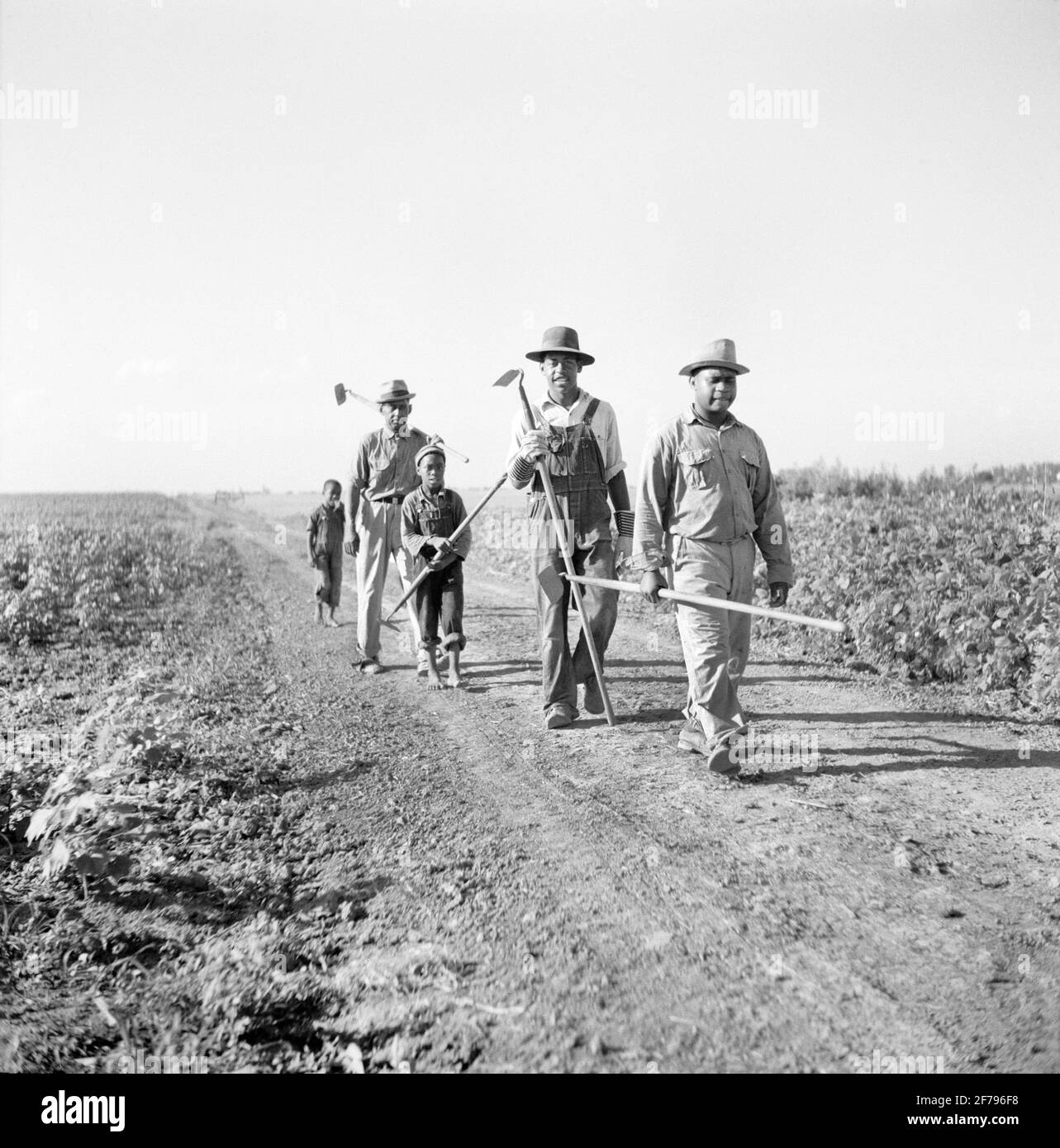 Hommes et garçons travaillant sur King and Anderson Plantation, Clarksdale, Mississippi, États-Unis, Marion Post Wolcott, Administration américaine de la sécurité agricole, août 1940 Banque D'Images