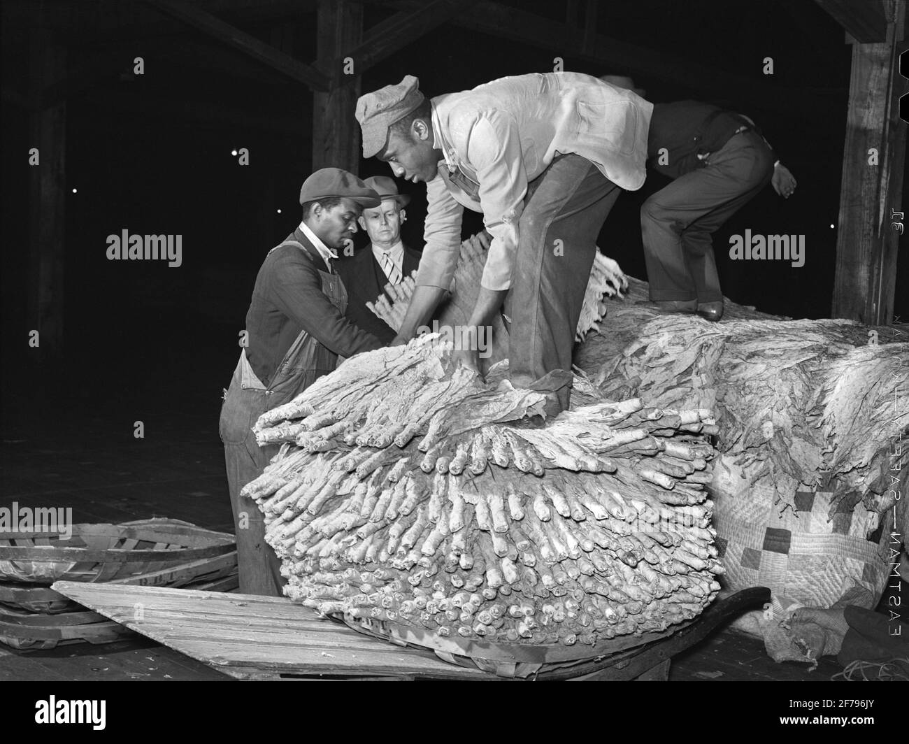 Travailleur déchargeant du tabac en entrepôt avant la vente aux enchères, Durham, Caroline du Nord, États-Unis, Marion Post Wolcott, Administration américaine de la sécurité agricole, novembre 1939 Banque D'Images