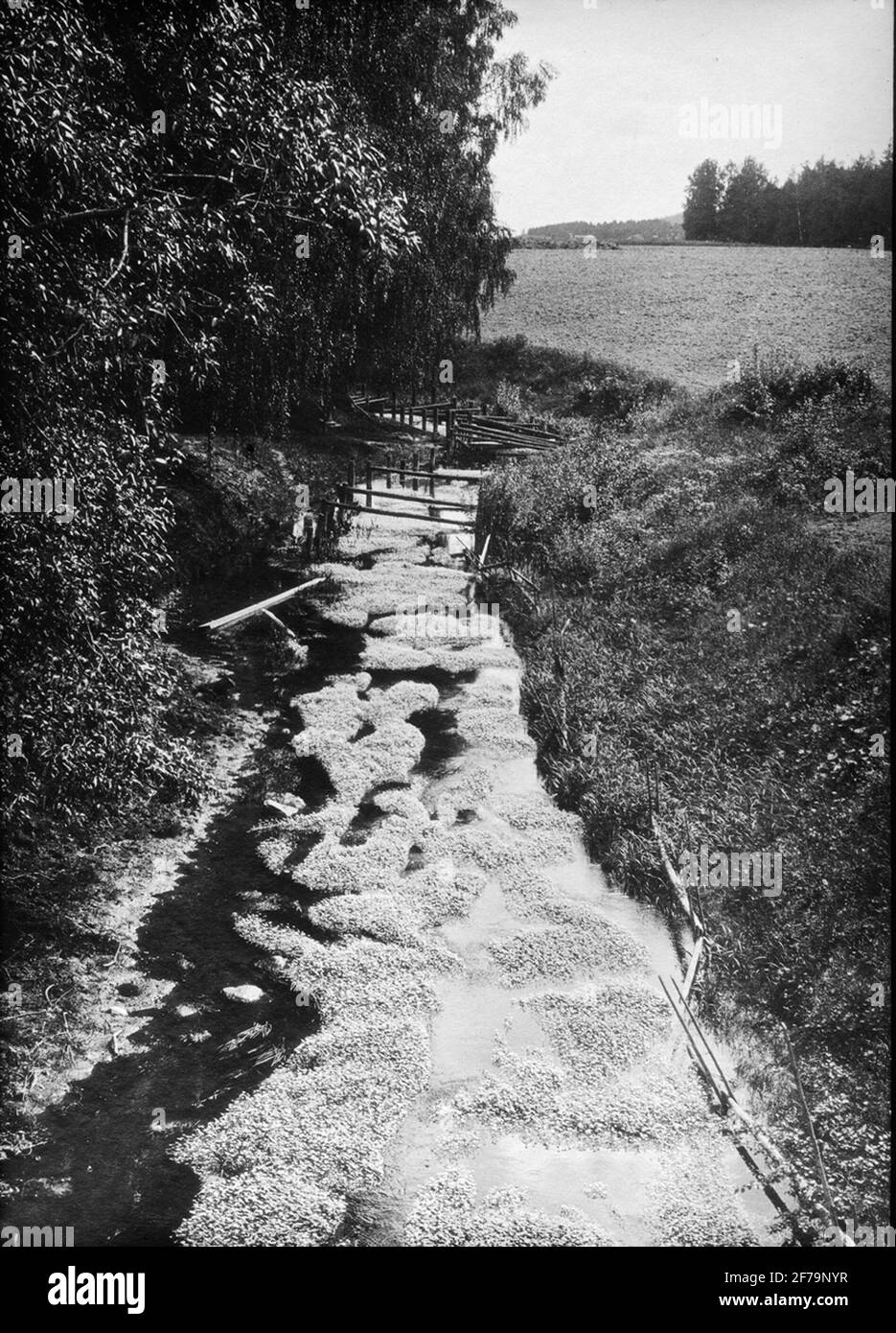 Diaportive, image de fenêtre avec motifs de paysage d'été, peut-être de Älvdalen. Petit ruisseau, cours d'eau par champ. Banque D'Images