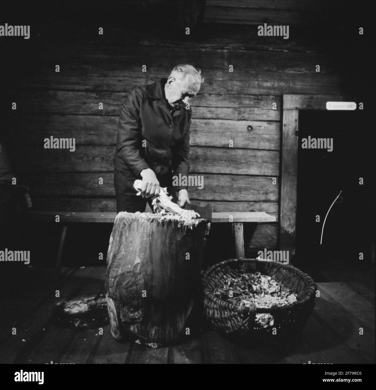 Démonstration de broyage de morceaux dans le moulin à papier à main Ösjöfors. La merde hachée a été broyée avec de l'eau dans la liste électorale (Dutchman) à la pâte à papier Banque D'Images