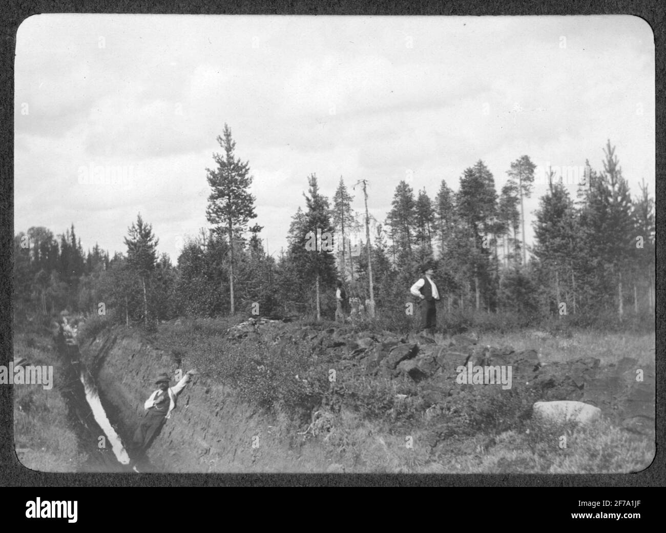 Images de forêt de la salle de revêtement. Vieux fossés et stocks (sinked) près de Björnberget. Banque D'Images