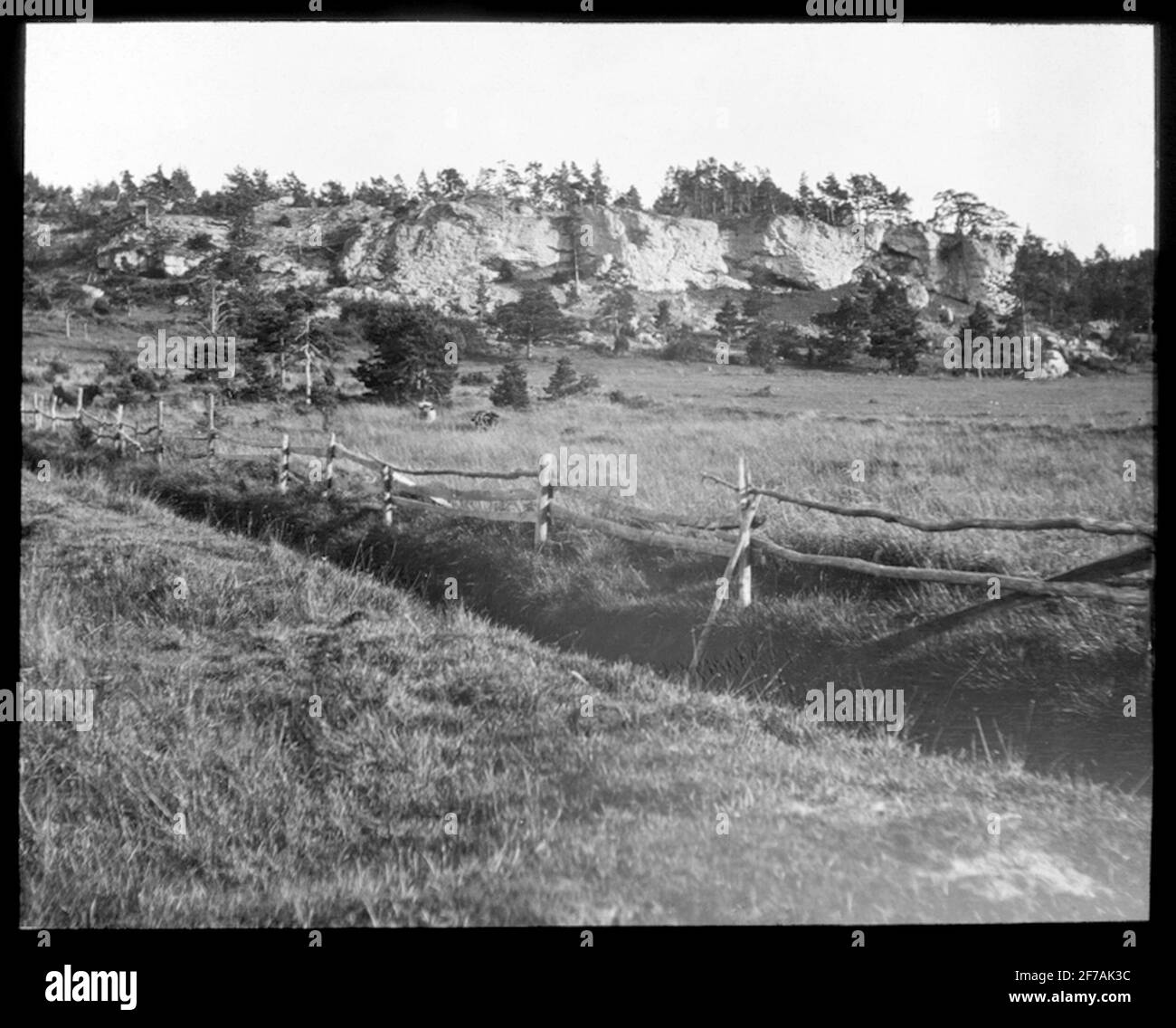 Image de Skioticon du Département de la photographie de l'Institut royal de technologie. Motifus représentant une ferme nourrie. La photo est probablement prise par John Hertzberg. Banque D'Images