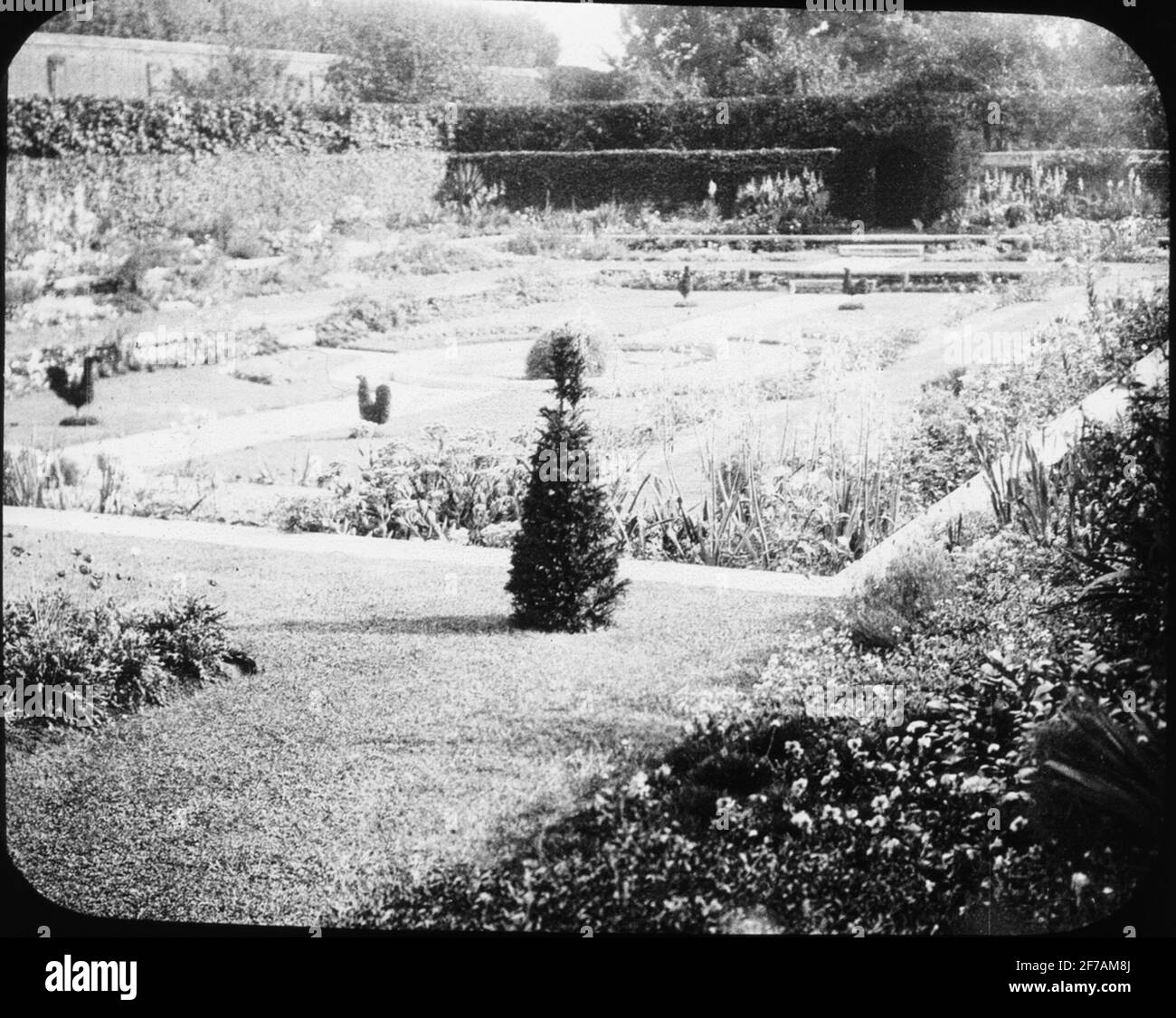 Image Skioptique avec motifs du parc à Hampton court, Londres. L'image a été stockée dans un carton étiqueté Windsor. Hampton court. Terasse de Richmond. Texte sur image: 'Hampton court'. Banque D'Images