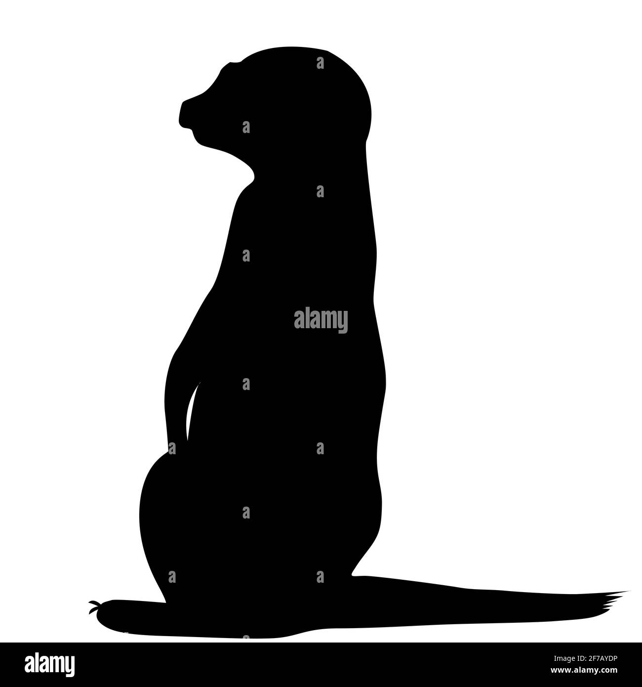 Silhouette Meerkat isolée sur fond blanc Illustration de Vecteur