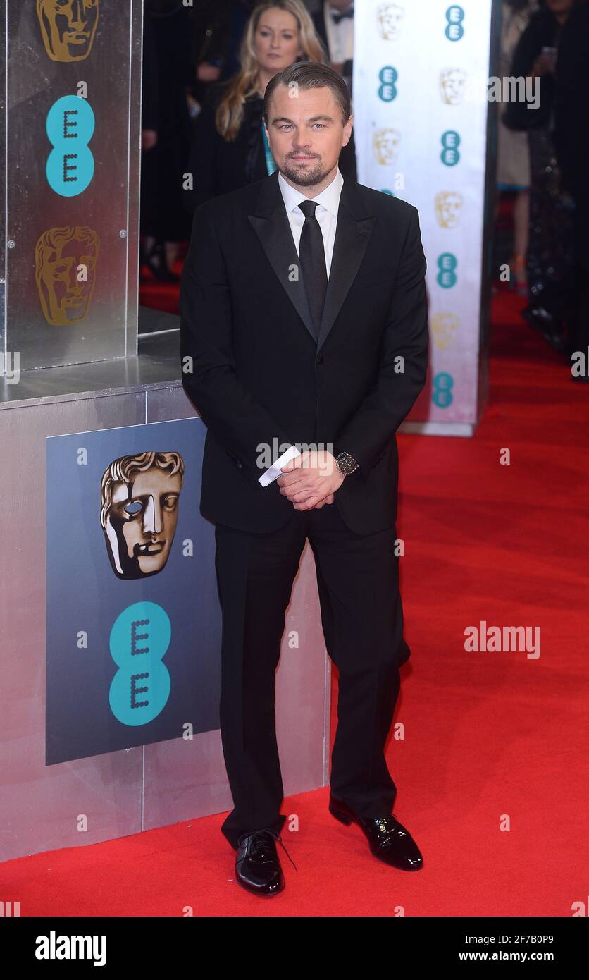 Londres, Royaume-Uni. 16 février 2014 British Academy film Awards - tapis rouge BAFTA Banque D'Images
