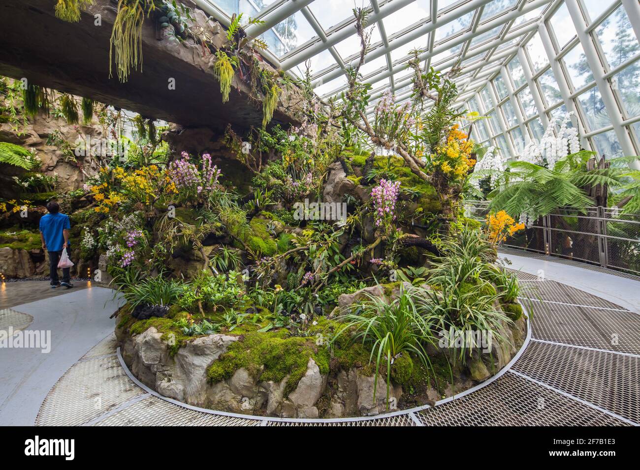 À l'intérieur de la maison Sembcorp Cool au National Orchid Garden, magnifique cadre de design de la verdure intérieure. Singapour. Banque D'Images