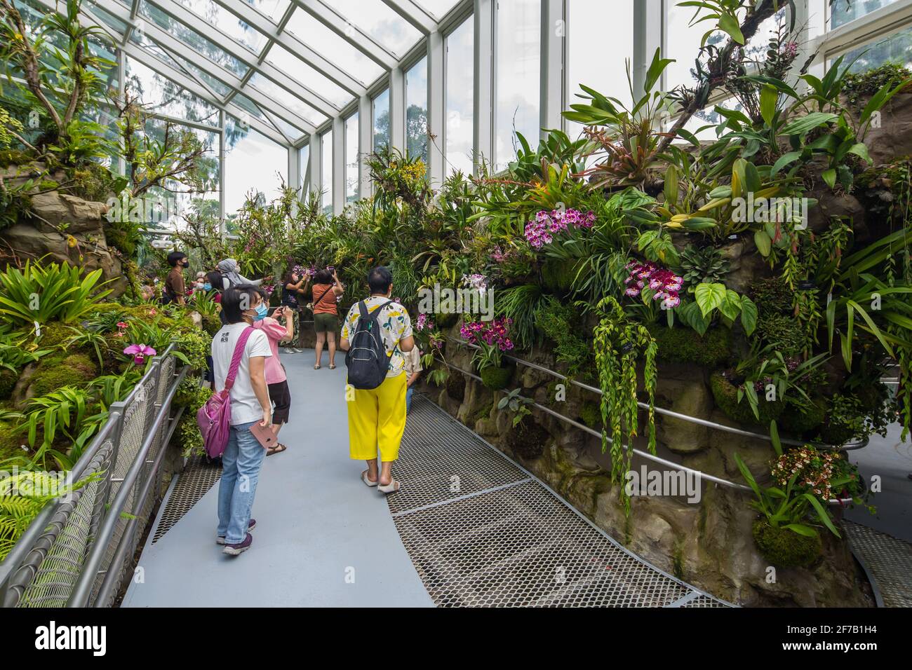 Les visiteurs de la région apprécient le joli aménagement intérieur du Sembcorp Cool House au National Orchid Garden, à Singapour. Banque D'Images