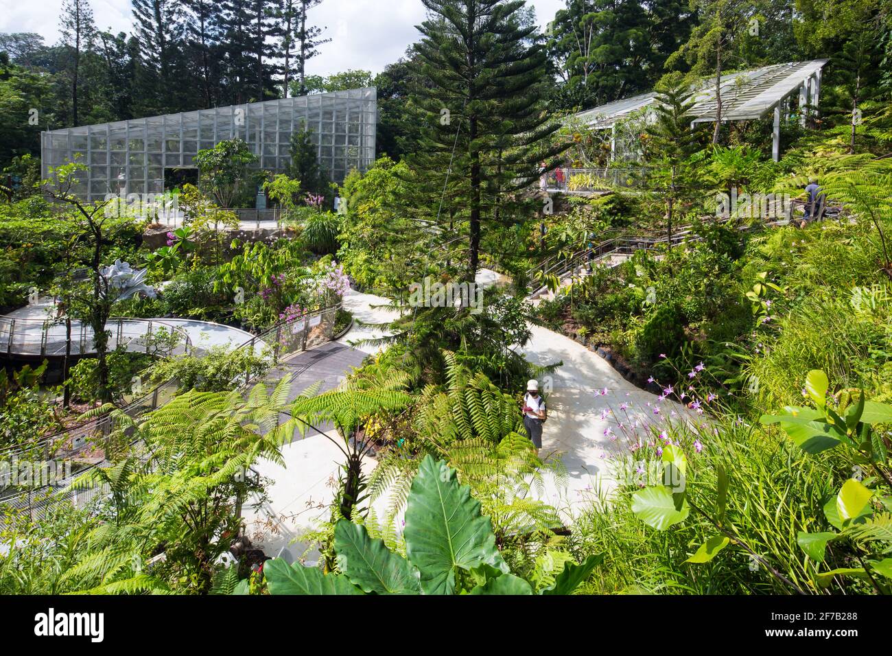 Un chemin en spirale pour profiter de ce paysage verdoyant au National Orchid Garden, Singapour. Banque D'Images