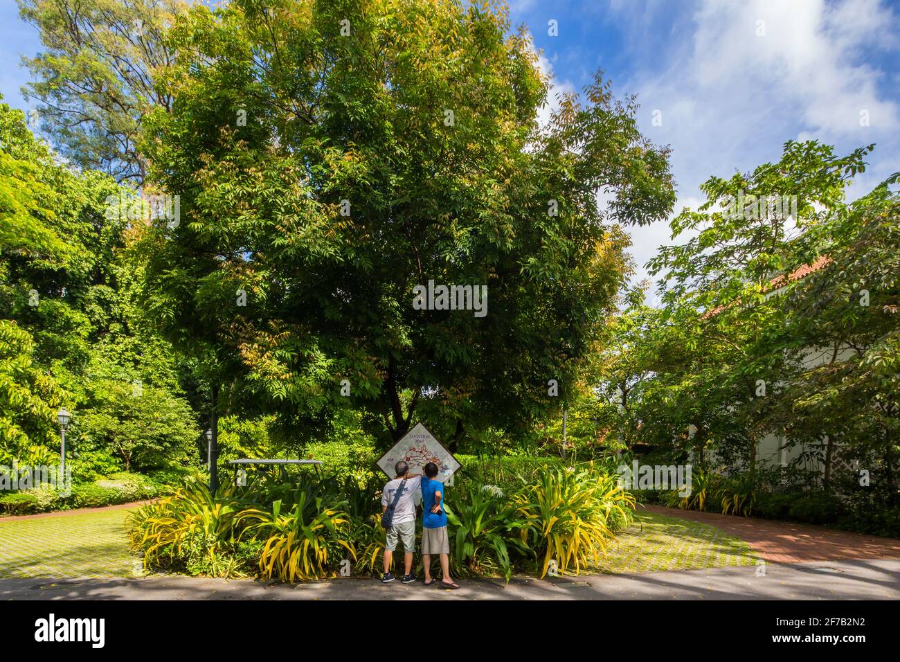 Deux hommes regardant la carte du jardin national des orchidées, Singapour. Banque D'Images