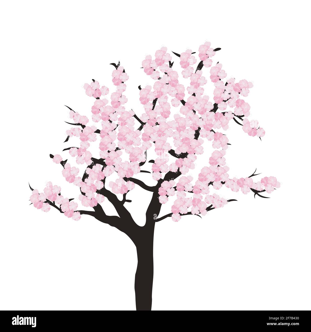 Cherry Tree isolé sur fond blanc Illustration de Vecteur