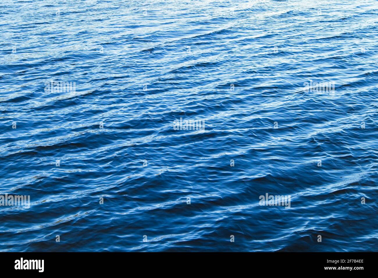 Surface de l'eau avec des vagues Banque D'Images