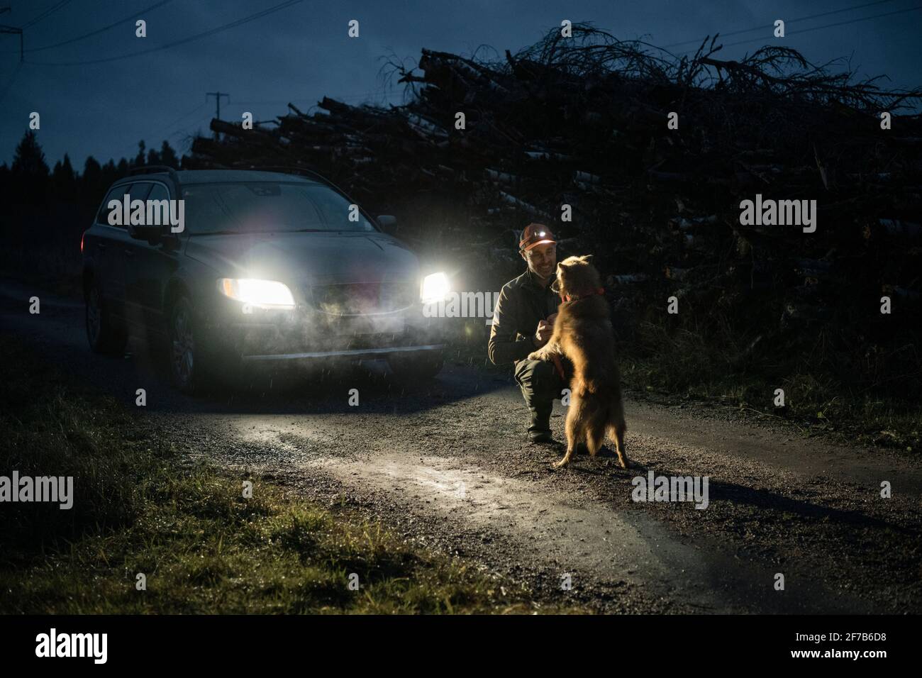 Homme avec chien au crépuscule Banque D'Images