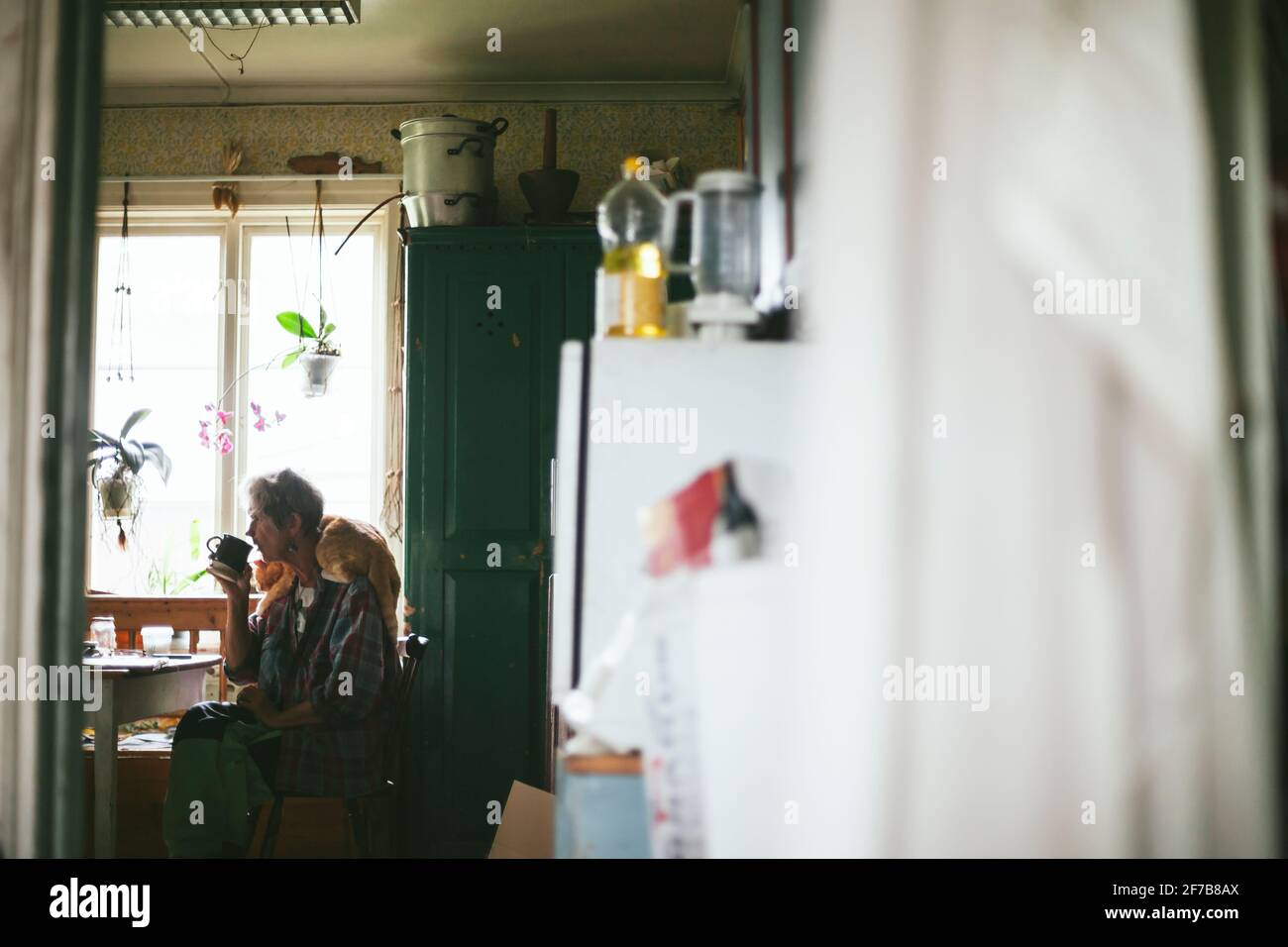 Femme sénior assis à la table avec le chat sur ses épaules Banque D'Images