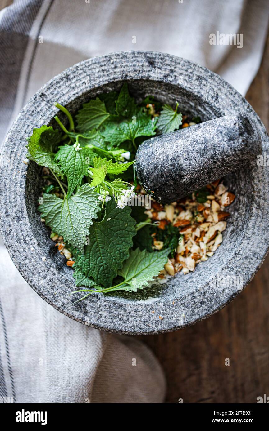 Moutarde à l'ail et pesto aux amandes Banque D'Images