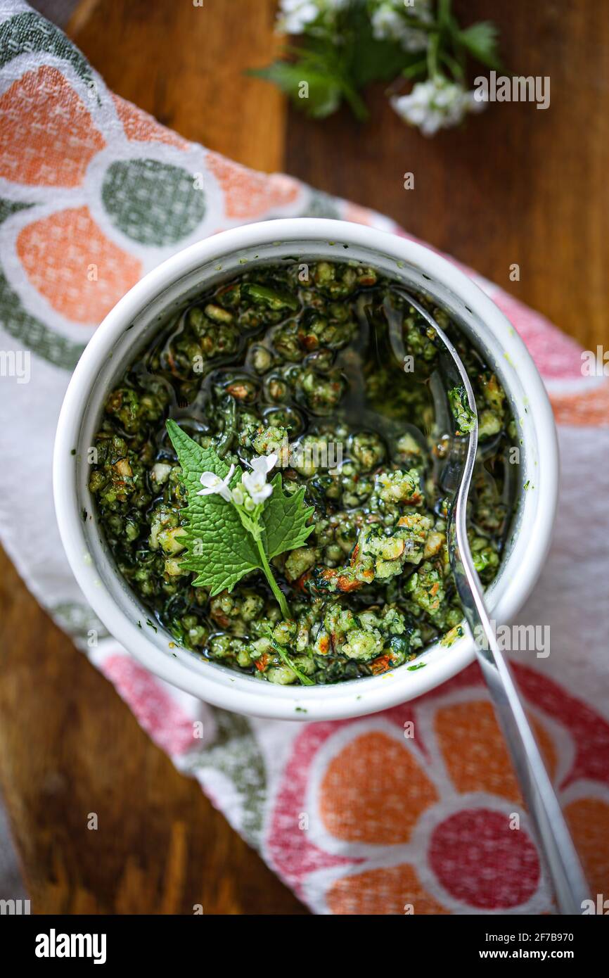 Moutarde à l'ail et pesto aux amandes Banque D'Images