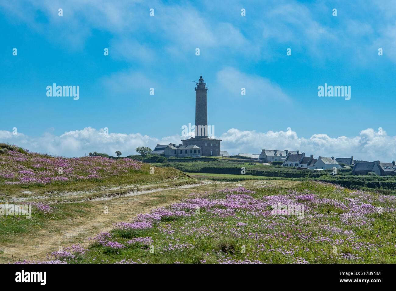 Vue depuis les champs côtiers avec fleurs vers le phare de l'Ile de Batz, France Banque D'Images