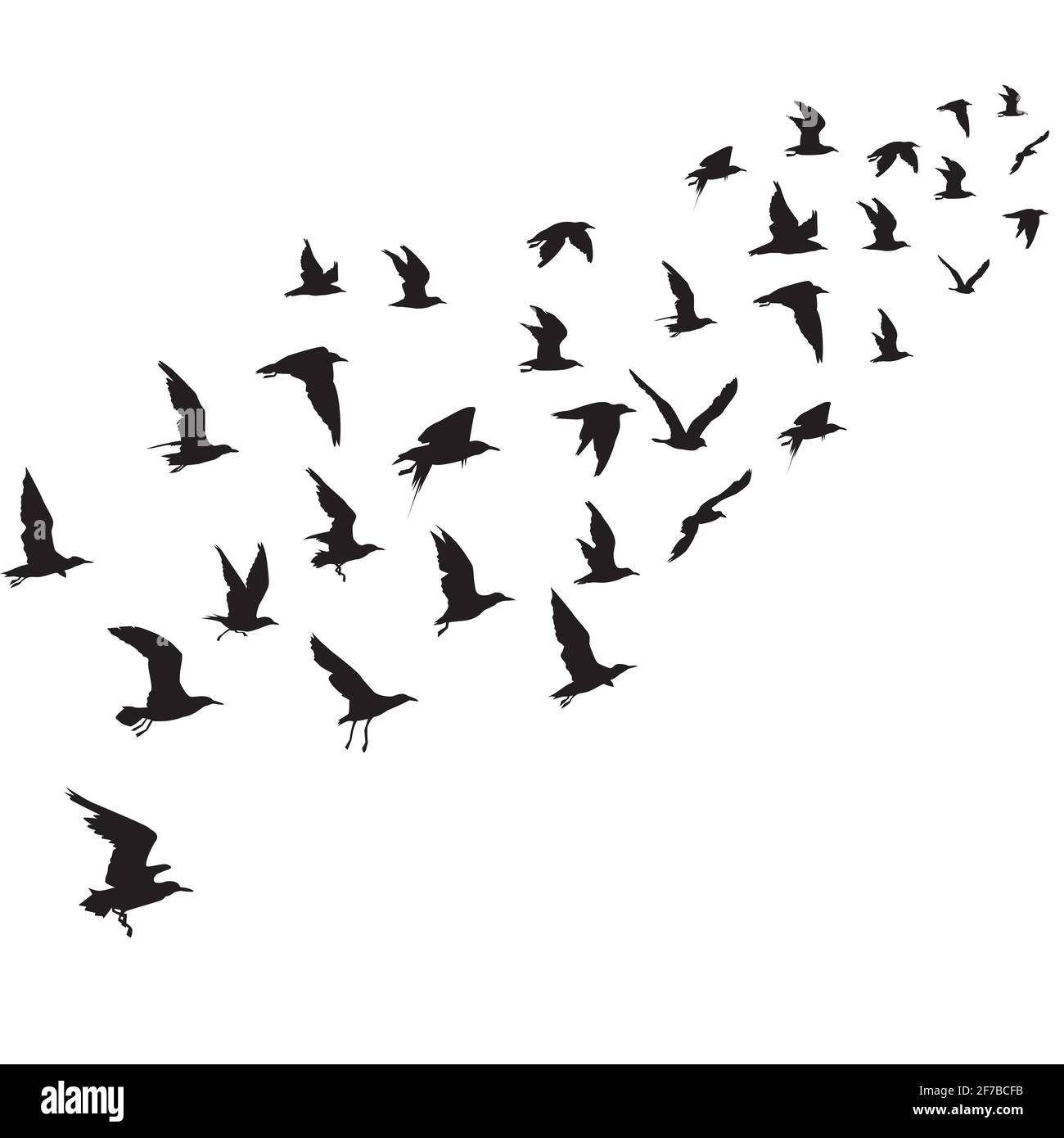 Des silhouettes d'oiseaux en vol Illustration de Vecteur