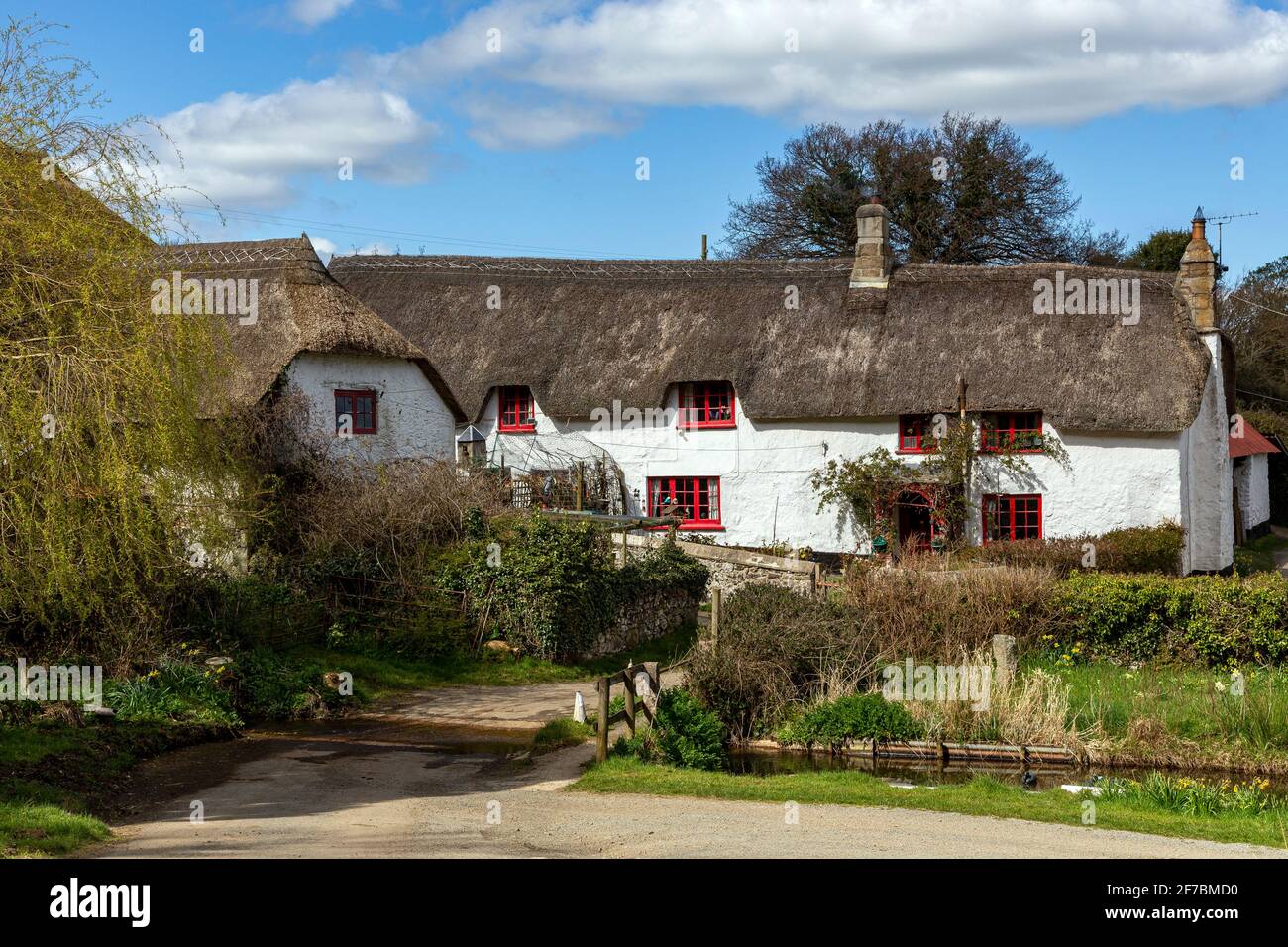 Devon Cottage, Devon, Angleterre, toit de chaume, parterre à fleurs, Maison, Architecture, Beauté dans la nature, structure construite, cultures, Horizontal, idyllique, Banque D'Images