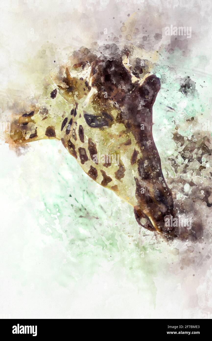 Aquarelle, tête de girafe, scène du zoo Banque D'Images