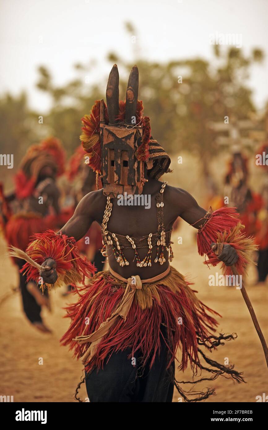 Afrique /Mali/Sanga / danseurs traditionnels de masque au village de Dogon au Mali Banque D'Images
