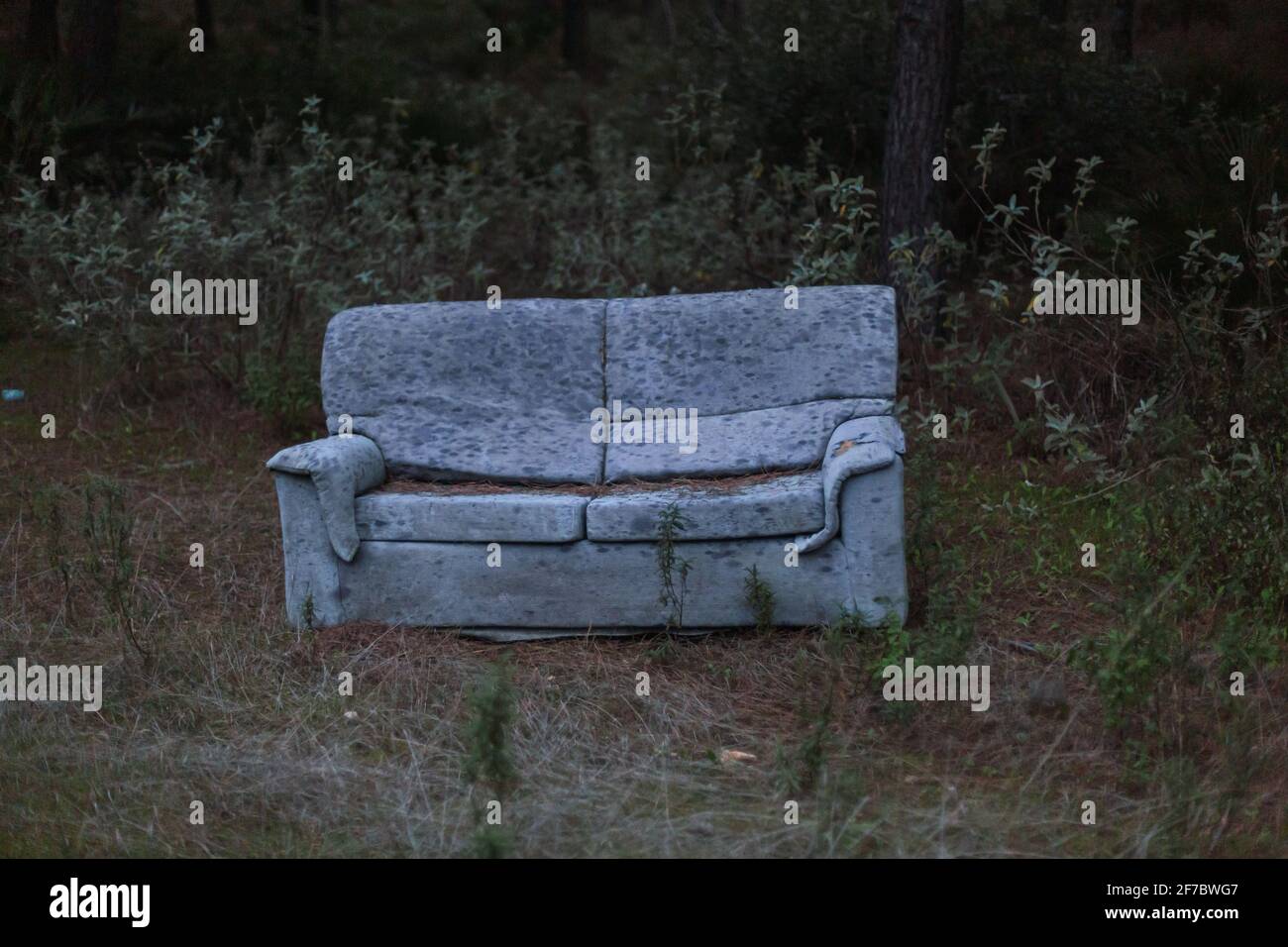 Canapé abandonné dans la forêt. Banque D'Images