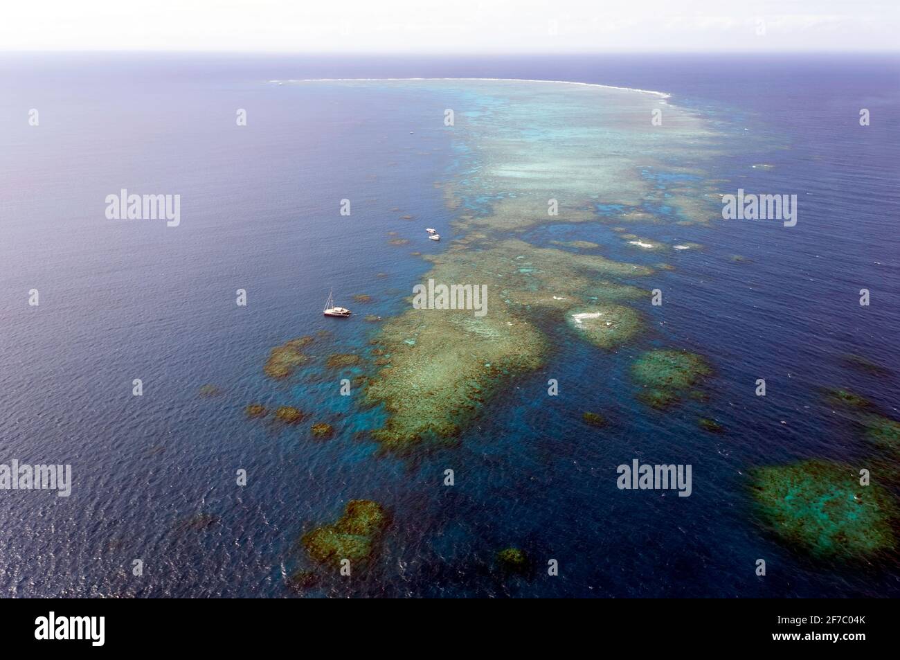 Vue aérienne de Hastings Reef, Cairns, Queensland, Australie Banque D'Images