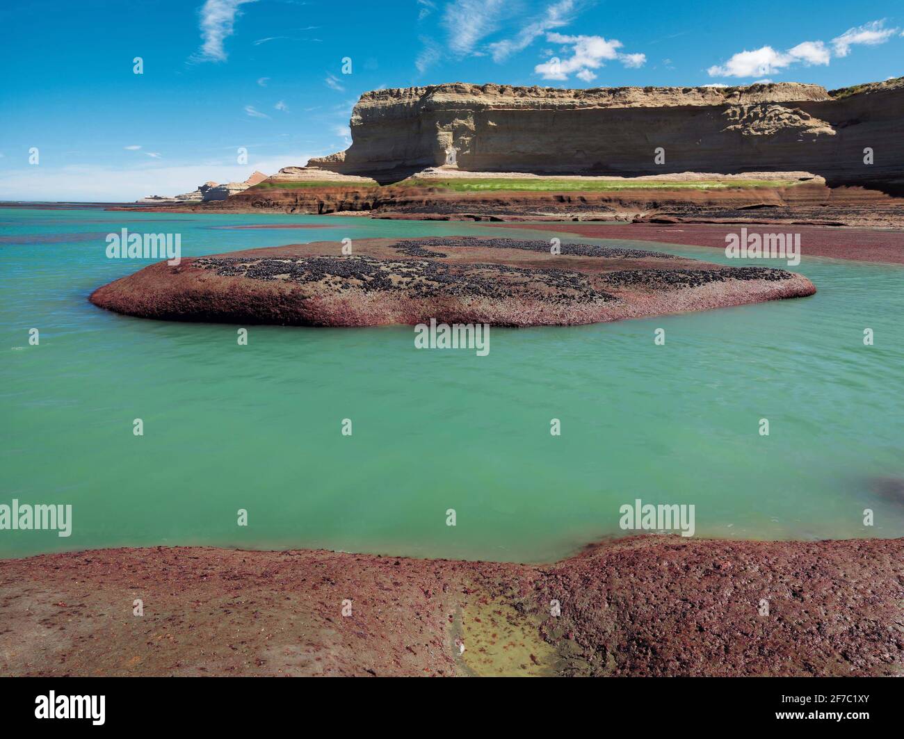 Parc national de Monte de Leon. Santa Cruz, Argentine Banque D'Images