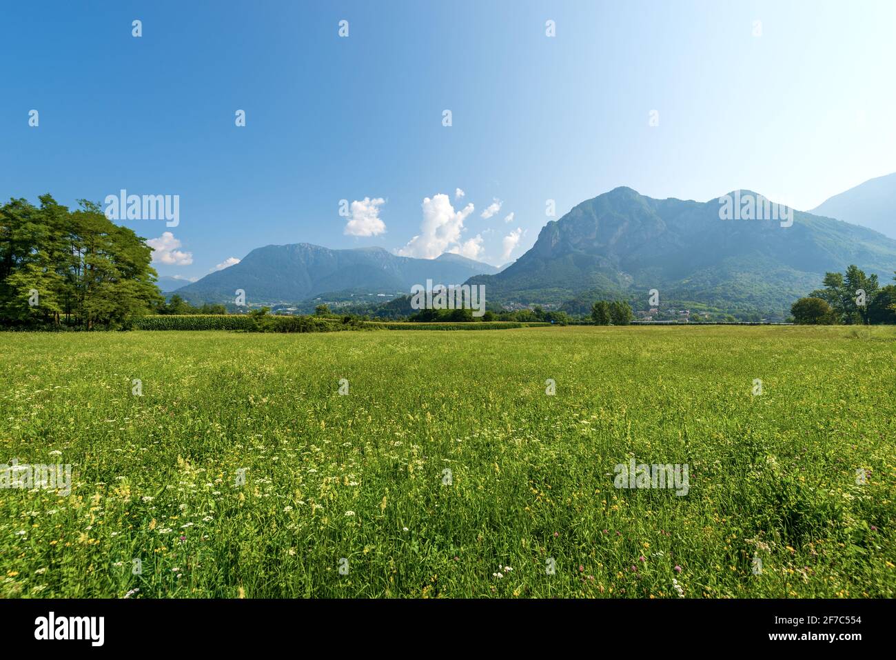 Valsugana ou Val Sugana. Paysage d'été de la vallée de Sugana avec Green Meadows et montagnes. Borgo Valsugana, Trentin-Haut-Adige, Italie, Europe. Banque D'Images
