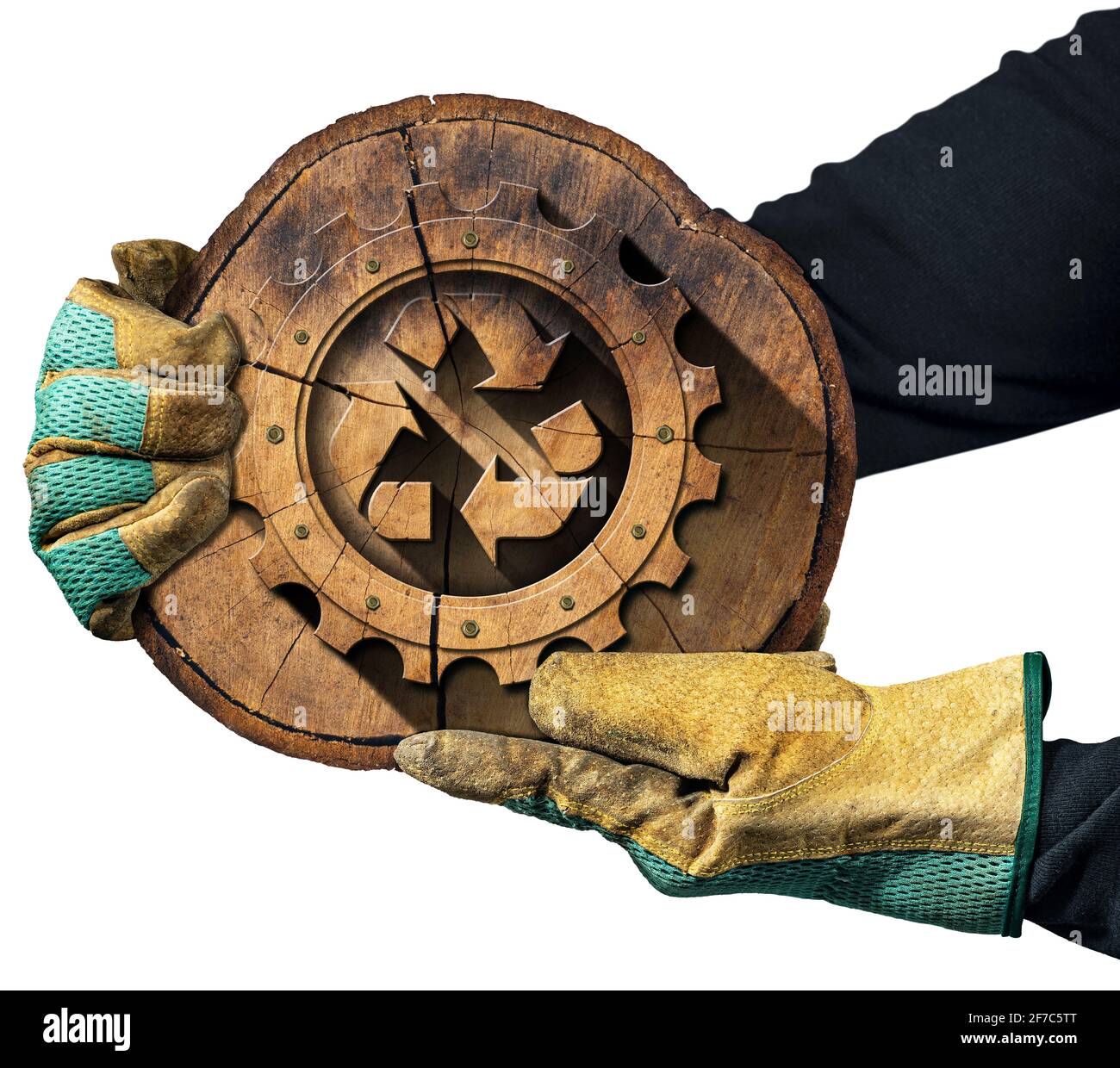 Mains gantées montrant un symbole de recyclage fait d'un tronc d'arbre en bois avec une roue dentée. Concept de ressources durables. Isolé sur fond blanc. Banque D'Images
