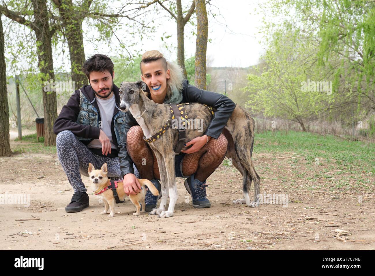 Poster Déco Juste Une Fille Qui Aime Les Chiens - Chihuahua - Multicolore - Neuf