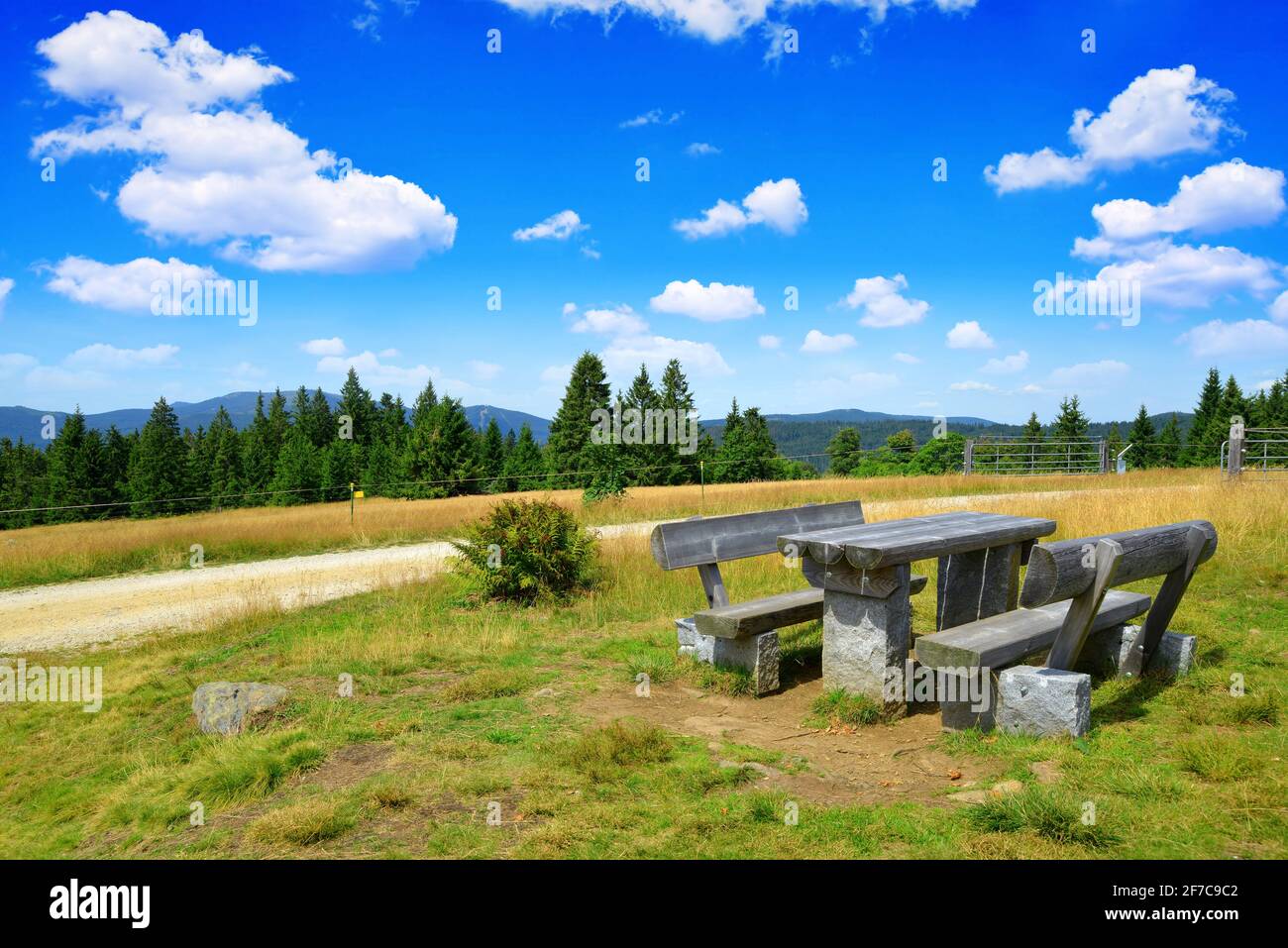 Paysage dans le parc national de Bayerischer wald. Allemagne. Banque D'Images