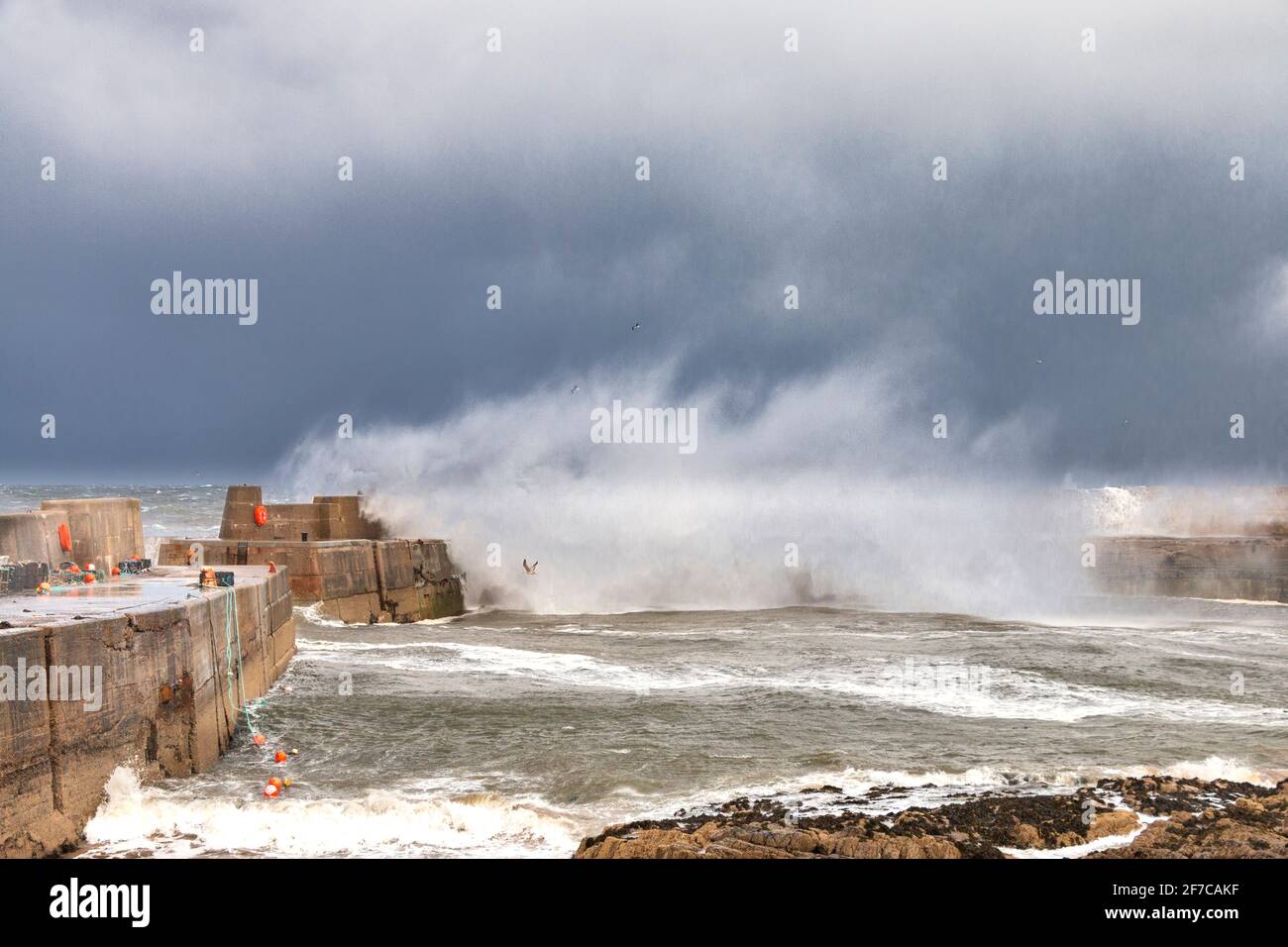 PORTKNOCKIE MORAY CÔTE ÉCOSSE TEMPÊTE VIOLENTE ET VENTS TRÈS FORTS VAGUES ET PROJECTIONS SE BRISANT SUR LES MURS DU PORT Banque D'Images