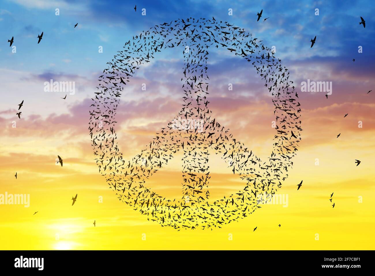 Silhouette d'oiseaux volant dans la formation du symbole de paix au ciel du coucher du soleil. Banque D'Images