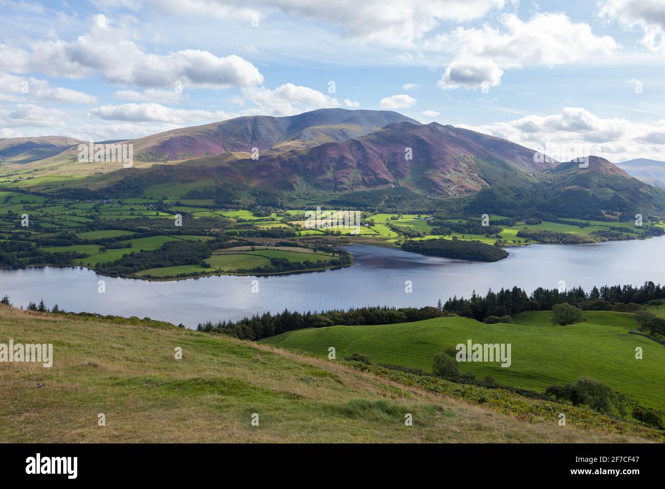 Vue d'été d'un Skiddaw recouvert de bruyère dans le parc national de Lake district vu de sale Fell, avec le lac Bassenthwaite en premier plan Banque D'Images