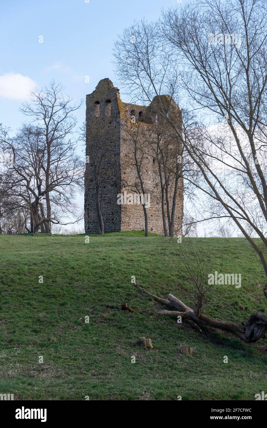 Hundisburg, Allemagne. 02 avril 2021. Vue sur la ruine de 17 mètres de haut Nordhusen près de Haldensleben. Les vestiges de l'église remontent au XIIe siècle. La destination populaire de l'excursion est située sur la route romane (Transromanica). Credit: Stephan Schulz/dpa-Zentralbild/ZB/dpa/Alay Live News Banque D'Images