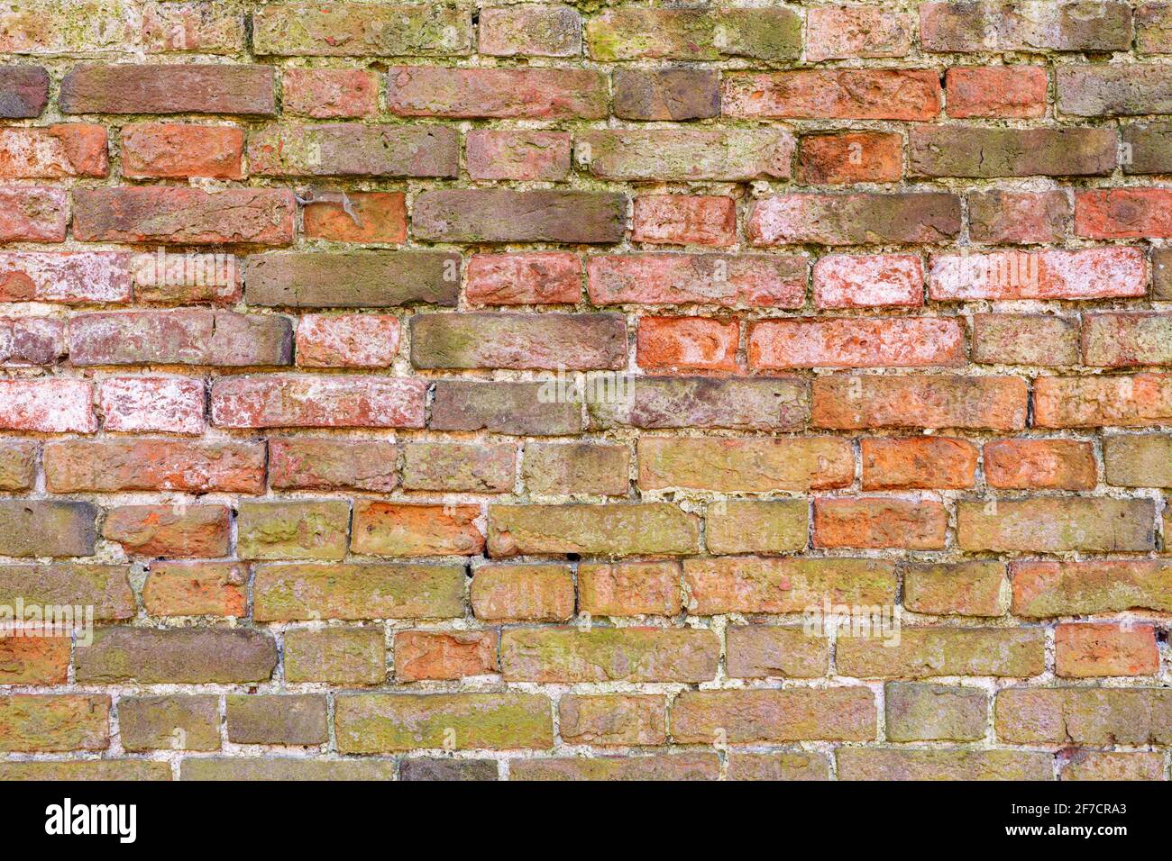 Mur de briques multicolore arrière-plan variété de briques mur de briques fait Avec les vieilles briques récupérées photo haute résolution de haute qualité Banque D'Images