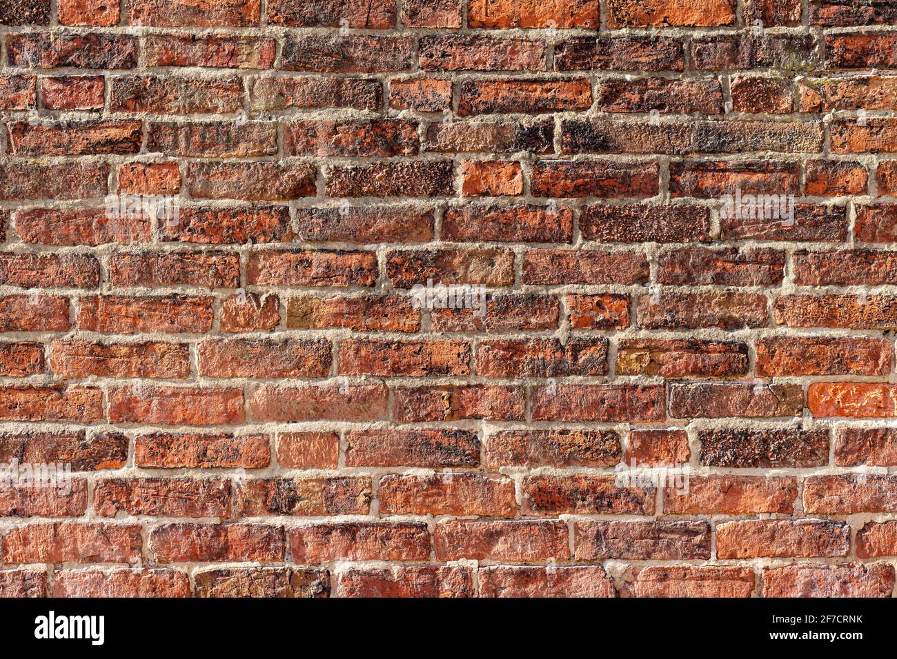 Mur de briques arrière-plan variété de briques mur de briques fait avec Briques de maison neuve régulière haute résolution photo de haute qualité Banque D'Images