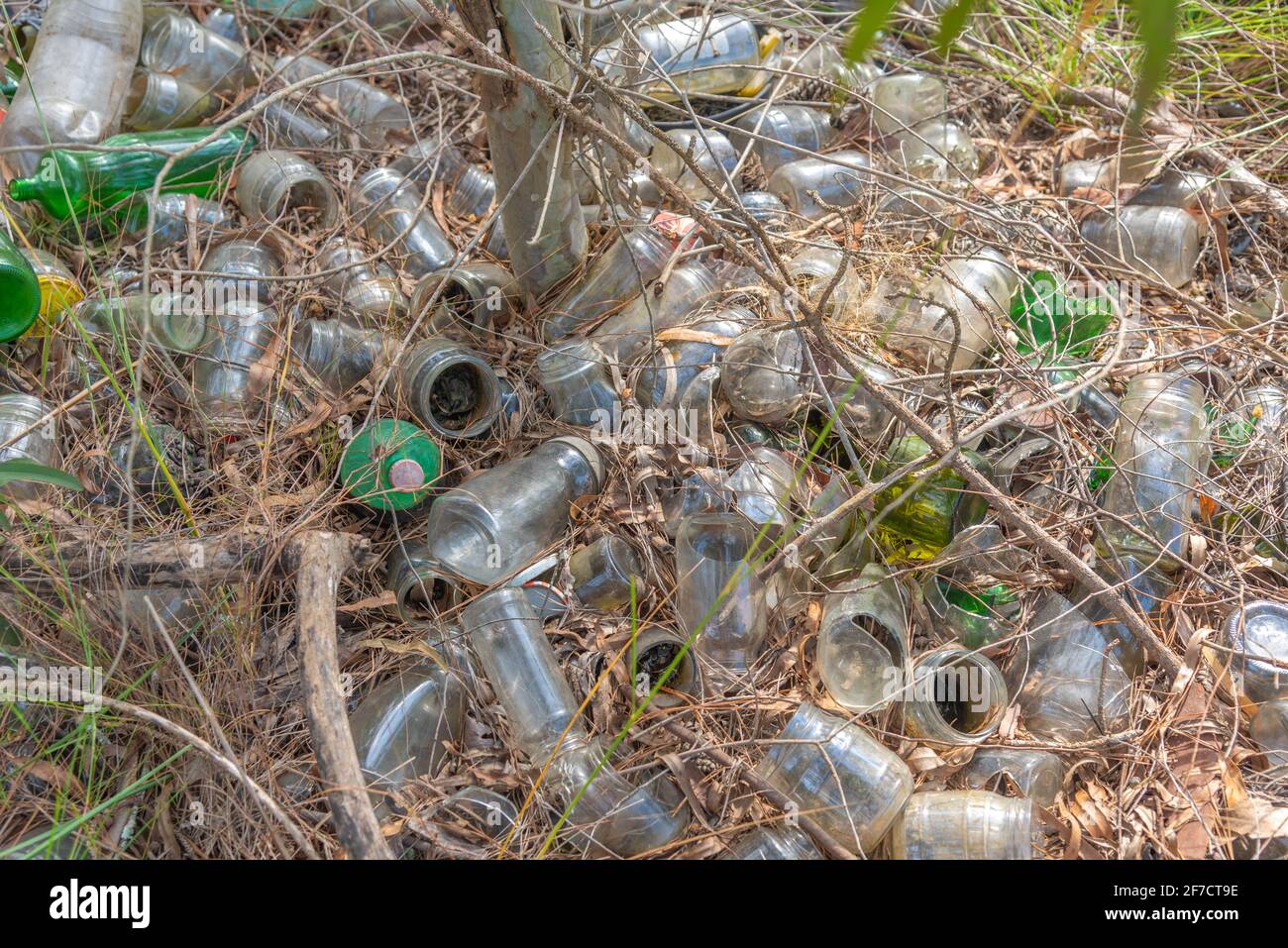 Mise au rebut irrégulière des récipients en verre dans l'environnement. Catastrophe environnementale. Pollution. Élimination des déchets dans une zone de conservation permanente. Banque D'Images