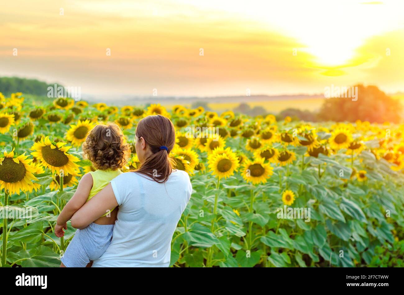 mère et enfant dans le champ des tournesols Banque D'Images
