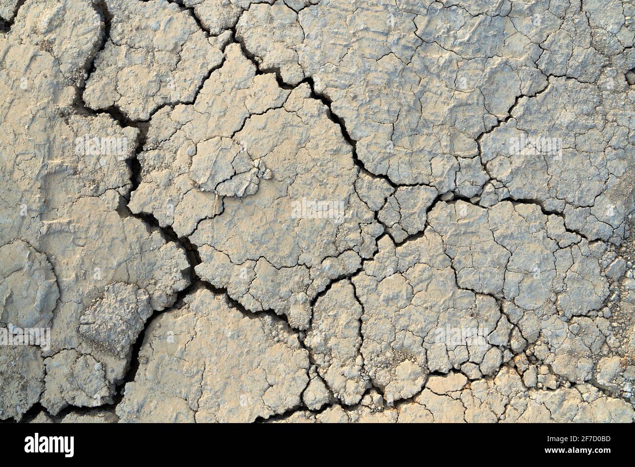 Vue au-dessus de la texture sèche du sol fissuré. Concept de sol ...
