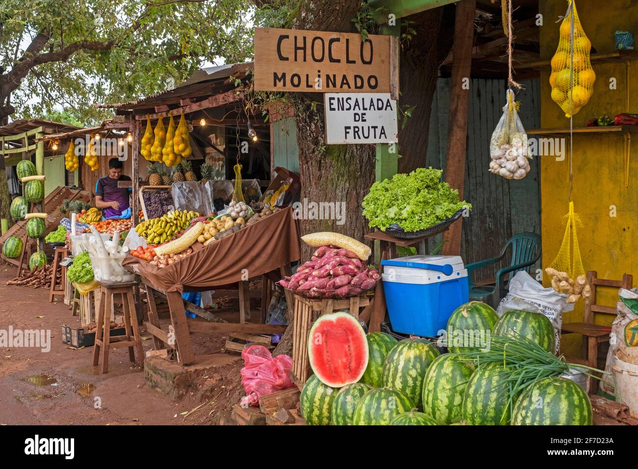 Étals de bord de route vendant des fruits et légumes à la périphérie de Ciudad del Este, Alto Paraná, Paraguay Banque D'Images