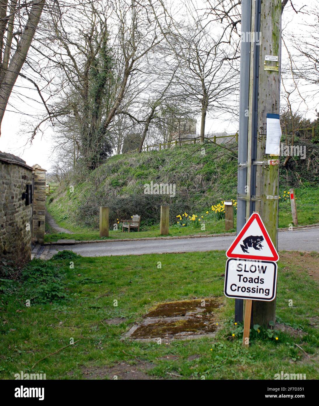 Un panneau routier inhabituel avertissant les conducteurs de crapauds migrateurs de Springtime Traverser la route à Southend Garsington Oxford Angleterre Royaume-Uni Banque D'Images