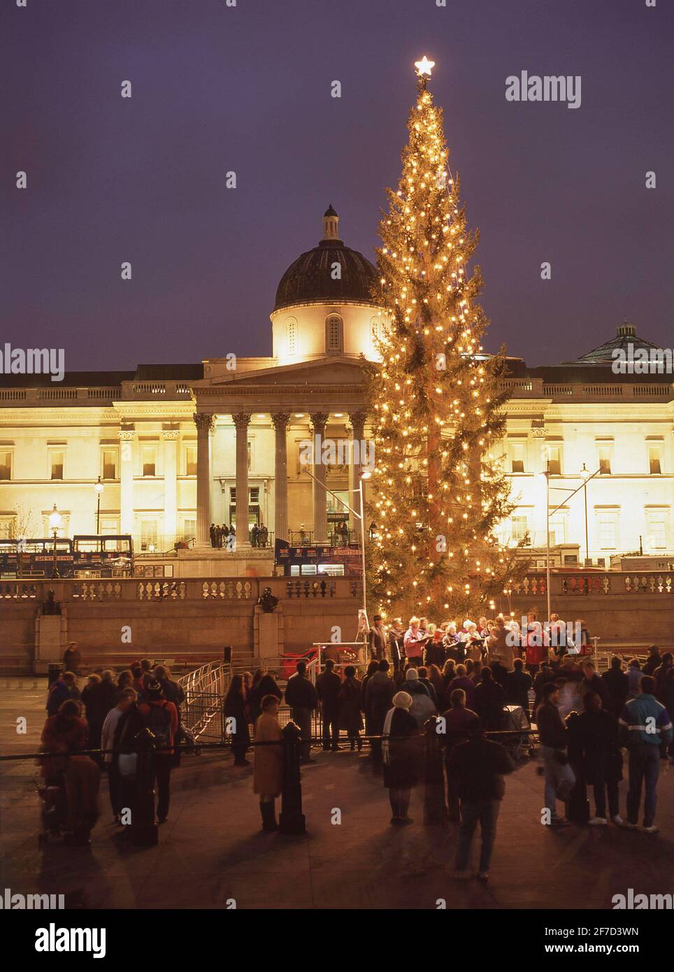 Arbre de Noël Trafalgar Square devant la National Gallery, Trafalgar Square, Cité de Westminster, Grand Londres, Angleterre, Royaume-Uni Banque D'Images