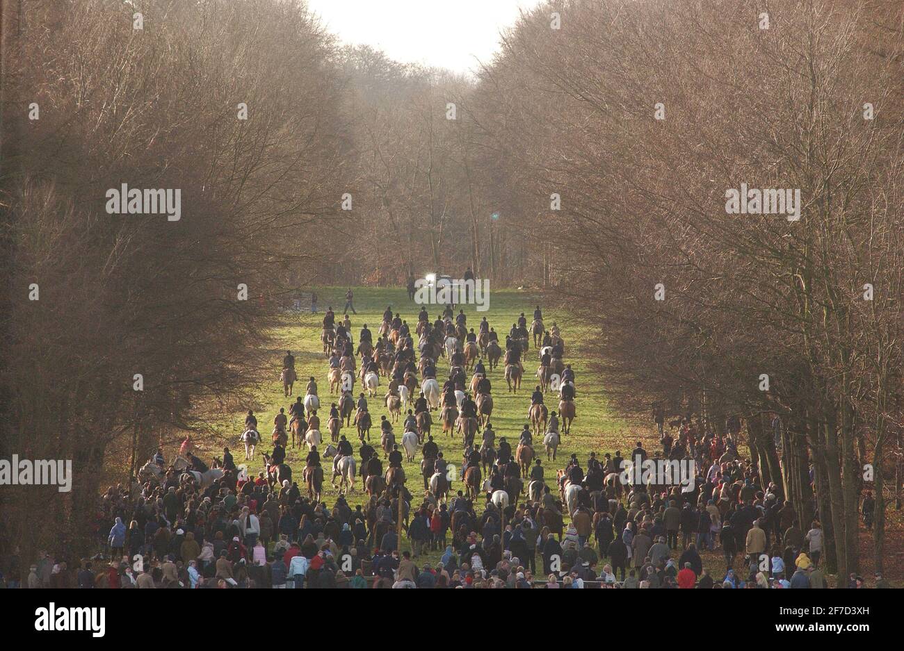 LA CHASSE DE BEAUFORT A LIEU À LEUR RENCONTRE LE 27/12/04 PILSTON Banque D'Images LA CHASSE DE BEAUFORT A LIEU À LEUR RENCONTRE LE 27/12/04 PILSTON Banque D'Images