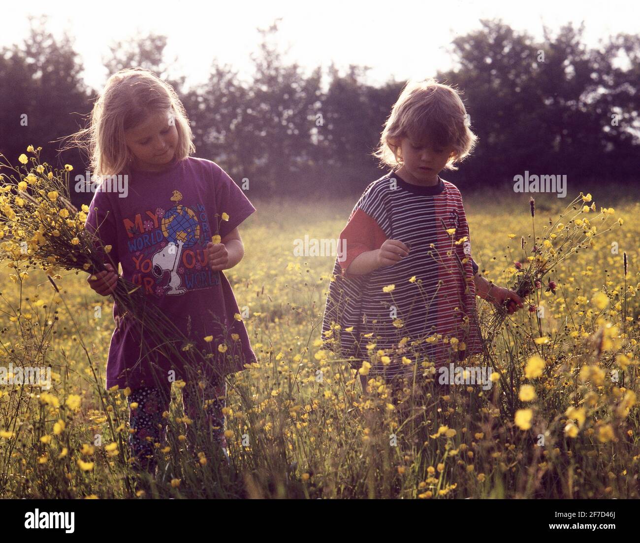 Jeunes filles cueillant des fleurs sauvages dans le champ, Winkfield, Berkshire, Angleterre, Royaume-Uni Banque D'Images