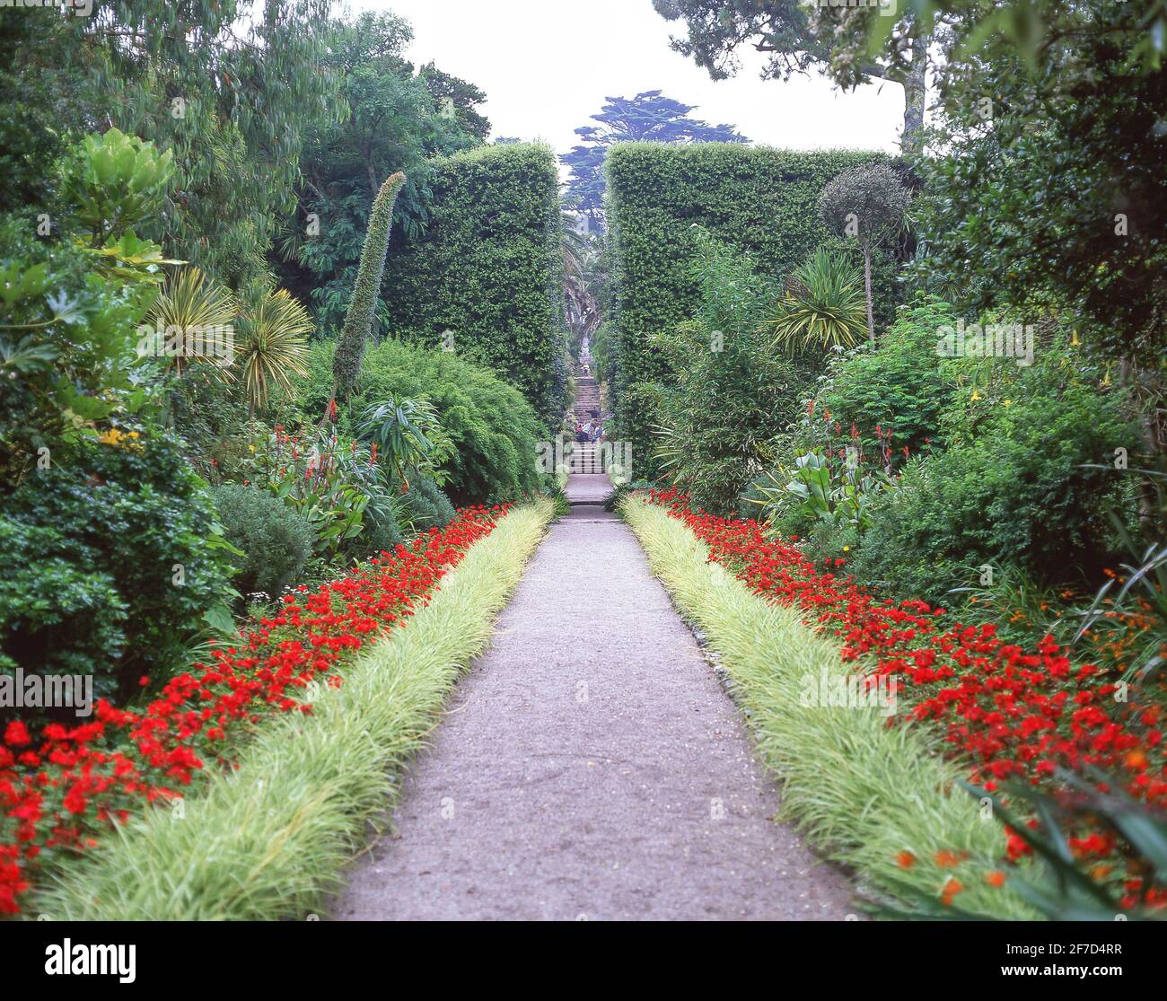 Jardins de l'abbaye de Tresco, Tresco, Îles Scilly, Cornwall, Angleterre, Royaume-Uni Banque D'Images