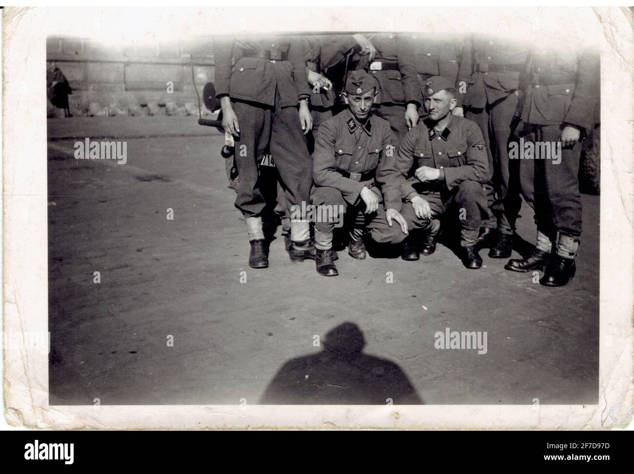 Stahlgewitter Ruhm Und Ehre Der Waffen Ss Download Waffen ss 1942 Banque de photographies et d’images à haute résolution