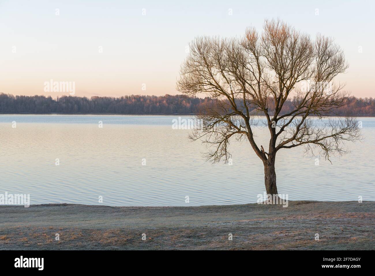 Merveilleux matin de printemps près du lagon de Kaunas. Banque D'Images